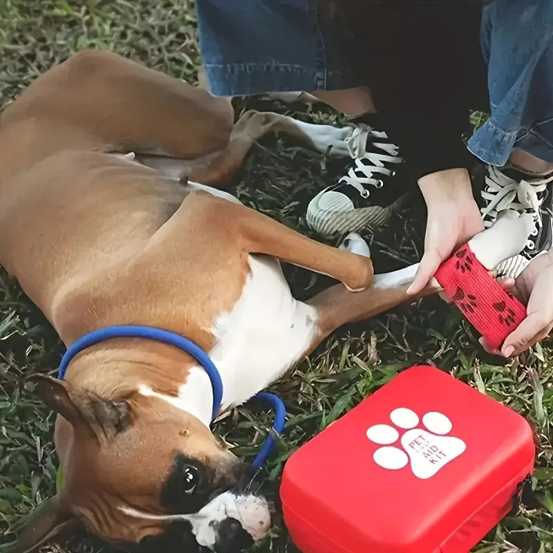 Trousse urgence vétérinaire pour chien chat - édition standard et améliorée