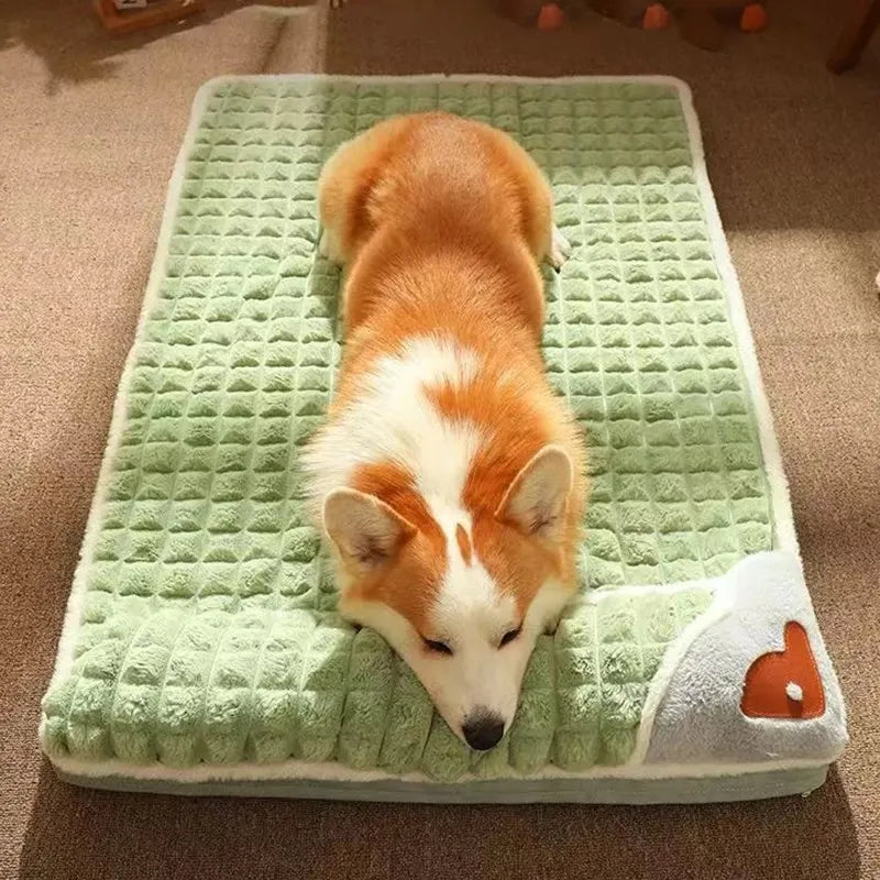 Lit polaire corail pour chien - douceur et chaleur hiver