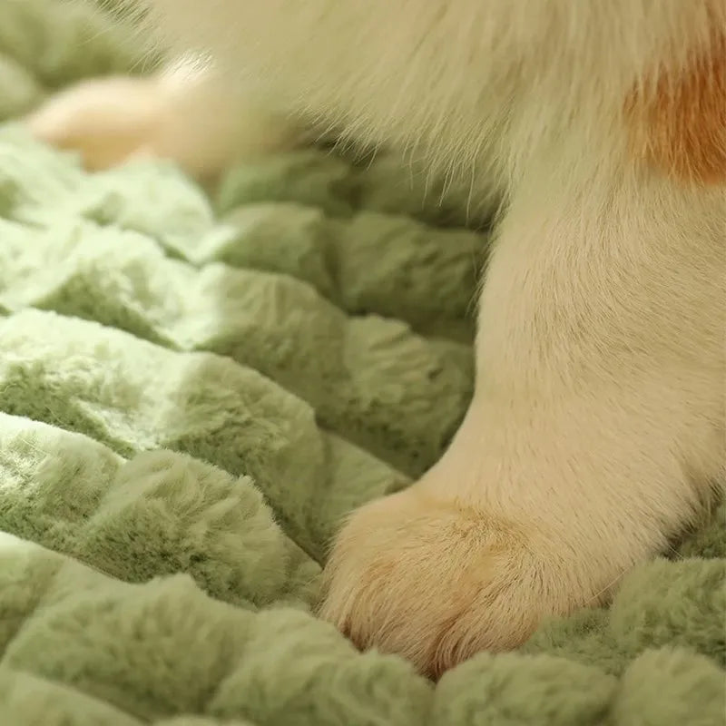 Matelas à mémoire de forme pour animal - soutien articulaire
