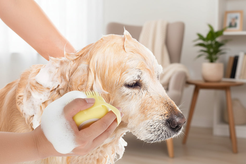Brosse de Bain Massante avec Distributeur – Silicone Doux pour Chiens et Chat