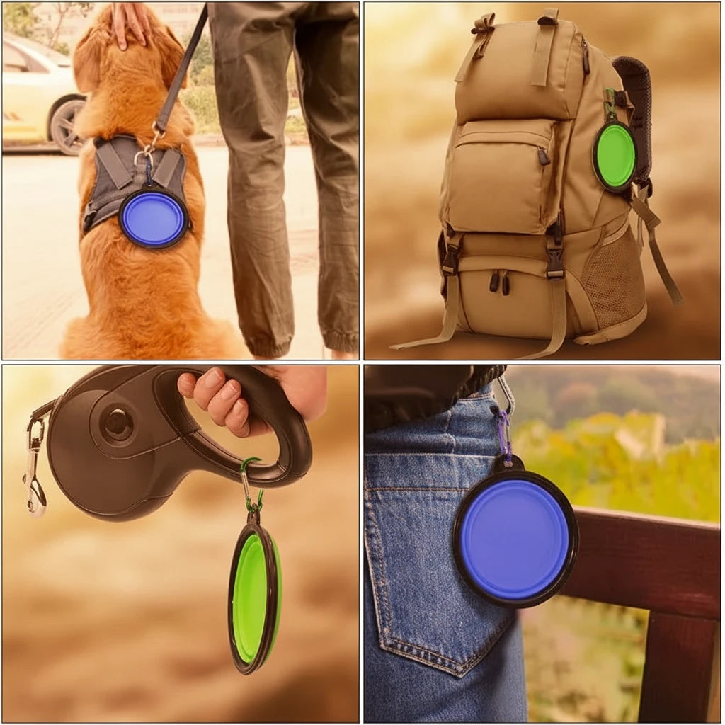 Bol silicone pliable pour chien - léger compact nomade